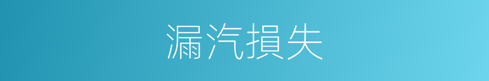 漏汽損失的同義詞