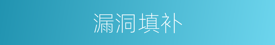 漏洞填补的同义词