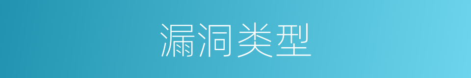 漏洞类型的同义词