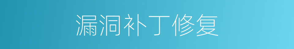 漏洞补丁修复的同义词