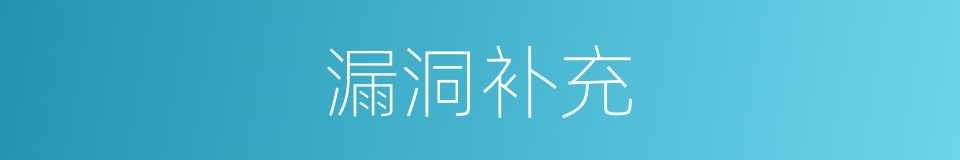 漏洞补充的同义词