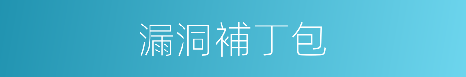 漏洞補丁包的同義詞