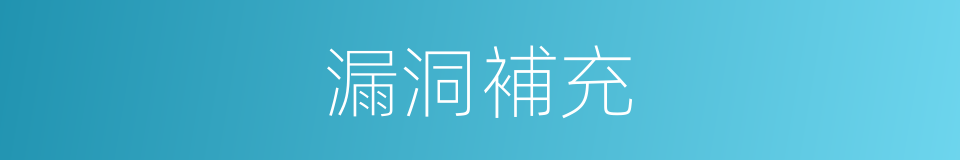 漏洞補充的同義詞