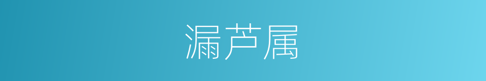 漏芦属的同义词