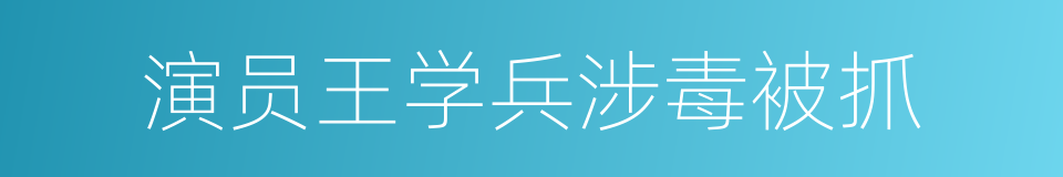 演员王学兵涉毒被抓的同义词