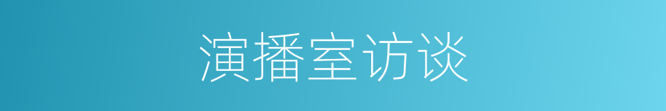 演播室访谈的同义词