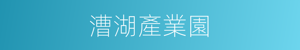 漕湖產業園的同義詞