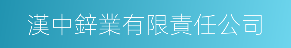 漢中鋅業有限責任公司的同義詞