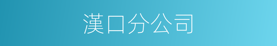 漢口分公司的同義詞