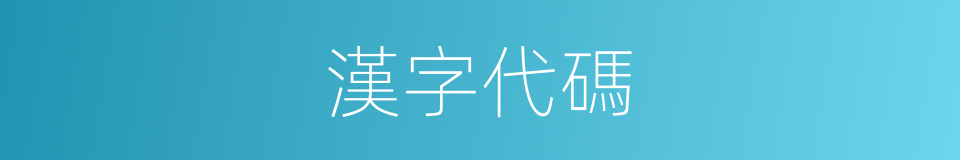 漢字代碼的同義詞