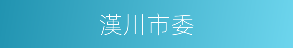 漢川市委的同義詞