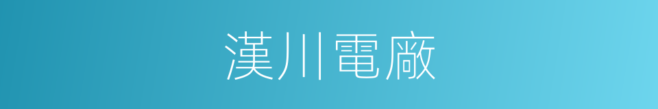 漢川電廠的同義詞