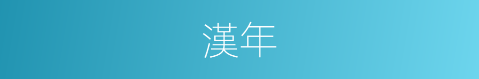 漢年的同義詞