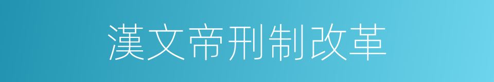 漢文帝刑制改革的同義詞
