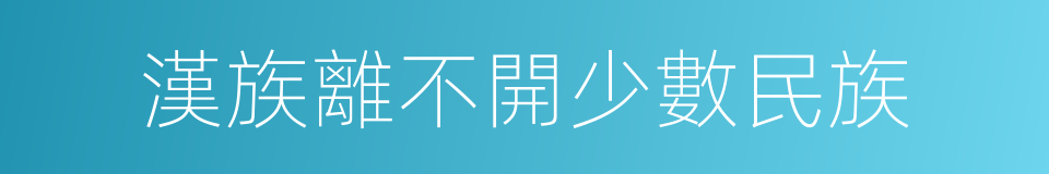 漢族離不開少數民族的同義詞