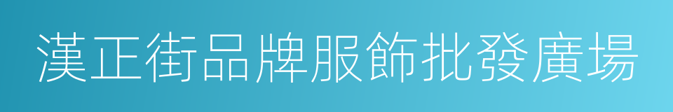 漢正街品牌服飾批發廣場的同義詞