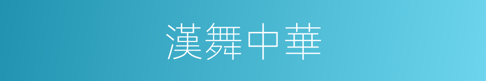 漢舞中華的同義詞