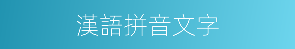 漢語拼音文字的同義詞
