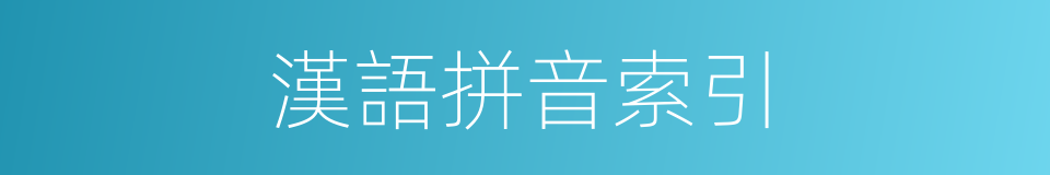 漢語拼音索引的同義詞