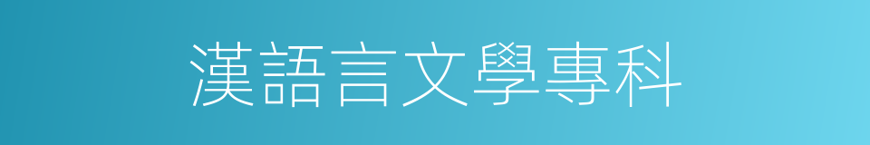 漢語言文學專科的同義詞