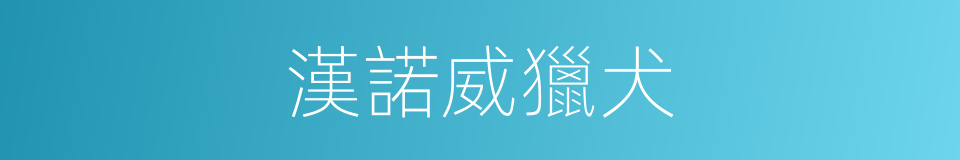 漢諾威獵犬的同義詞
