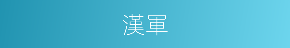 漢軍的意思