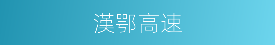 漢鄂高速的同義詞