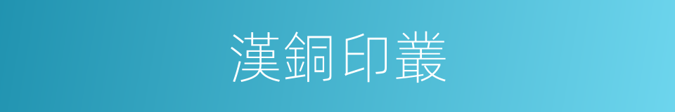 漢銅印叢的同義詞