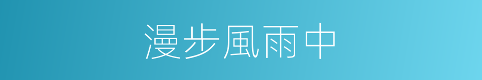 漫步風雨中的同義詞