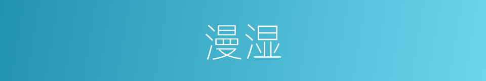 漫湿的意思