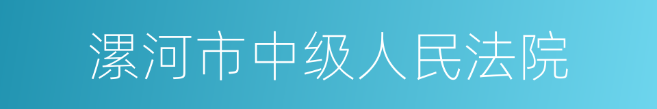 漯河市中级人民法院的同义词