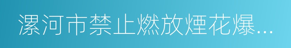 漯河市禁止燃放煙花爆竹管理規定的同義詞