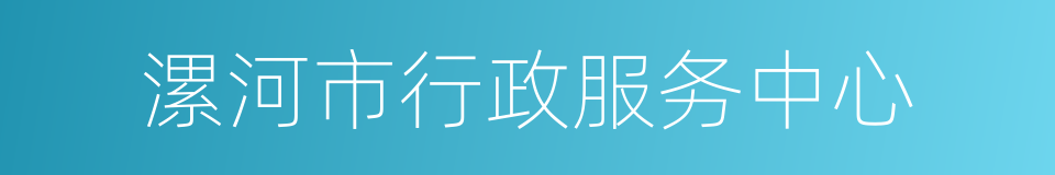 漯河市行政服务中心的同义词