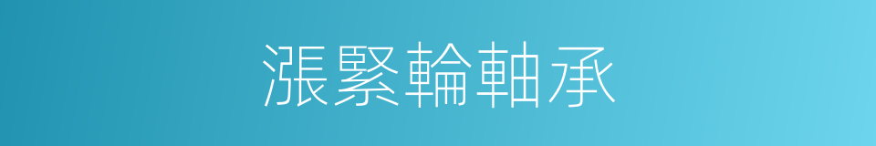 漲緊輪軸承的同義詞