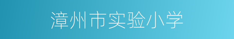 漳州市实验小学的同义词