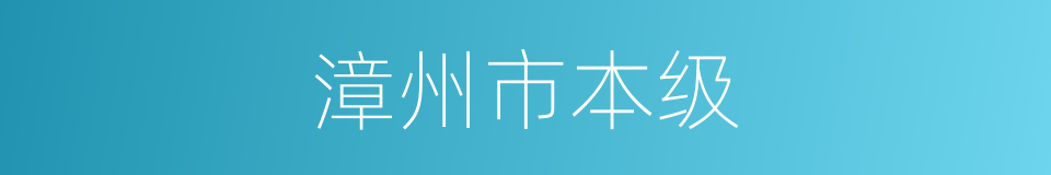 漳州市本级的同义词