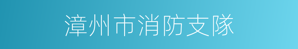 漳州市消防支隊的同義詞