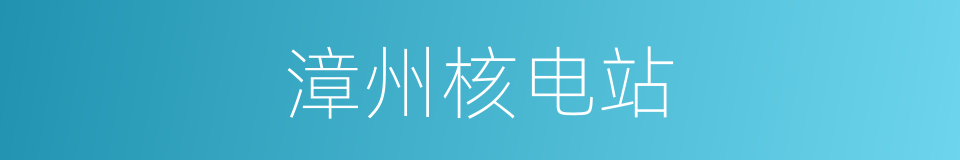漳州核电站的同义词