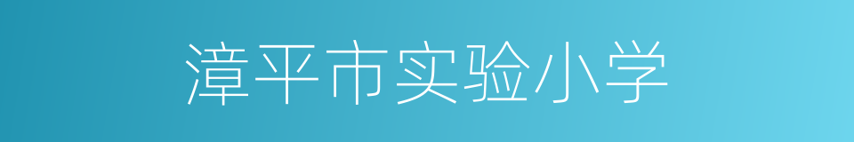 漳平市实验小学的同义词