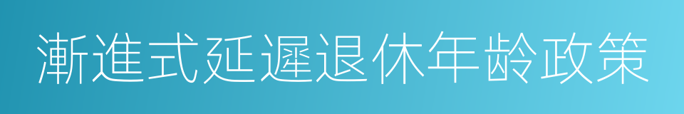 漸進式延遲退休年龄政策的同義詞