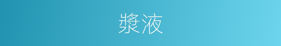 漿液的意思