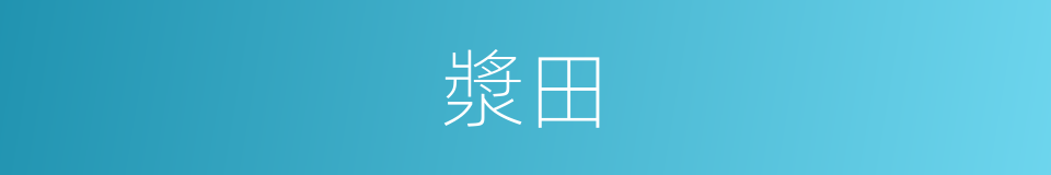 漿田的同義詞