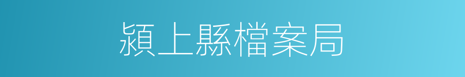 潁上縣檔案局的同義詞