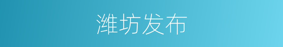 潍坊发布的同义词