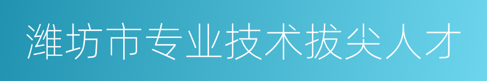 潍坊市专业技术拔尖人才的同义词