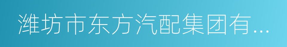 潍坊市东方汽配集团有限公司的同义词