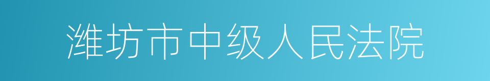 潍坊市中级人民法院的同义词