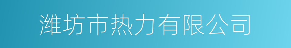 潍坊市热力有限公司的同义词