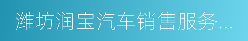 潍坊润宝汽车销售服务有限公司的同义词
