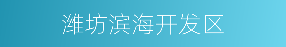 潍坊滨海开发区的同义词